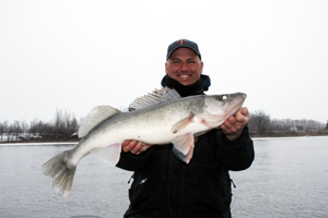 Click to enlarge 11 lb Walleye