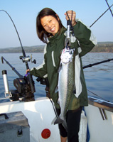 Tofte Charters Photo Gallery
