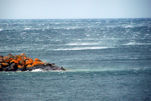 Gale NW Winds across Lake Superior