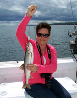 Tofte Charters Photo Gallery