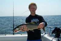 Tofte Charters Photo Gallery