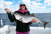 Tofte Charters Photo Gallery