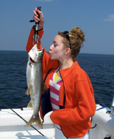 Tofte Charters Photo Gallery