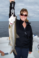 Tofte Charters Photo Gallery