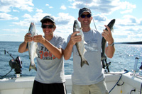 Tofte Charters Photo Gallery