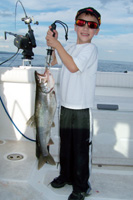 Tofte Charters Photo Gallery