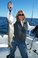 Tofte Charters Photo Gallery