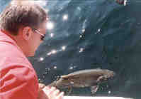 Catch-Photo-Release - Lake Trout