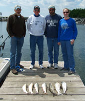 Tofte Charters Photo Gallery