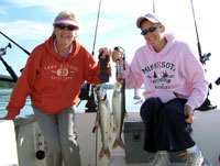 Tofte Charters Photo Gallery
