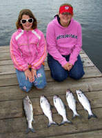 Tofte Charters Photo Gallery