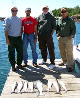 Tofte Charters Photo Gallery