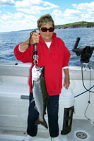 Tofte Charters Photo Gallery