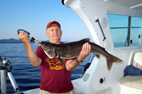 Tofte Charters Photo Gallery