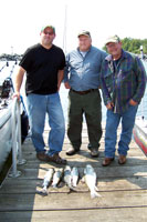 Tofte Charters Photo Gallery